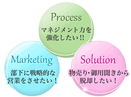 プロセス・マーケティング・ソリューション